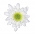MARGARITA BLANCA RADOTS