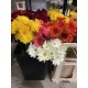 GERBERA