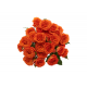 SANTOS-ROSA RAMIFICADA NARANJA