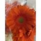 GERBERA NARANJA 1ª