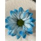 MARGARITA TINTADA AZUL CLARO 