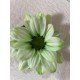 MARGARITA TINTADA VERDE