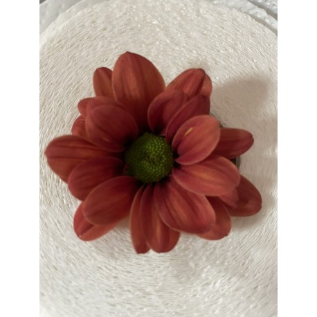 MARGARITA NACIONAL NARANJA