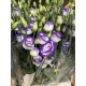 LISIANTHUS DOBLE FILO AZUL 