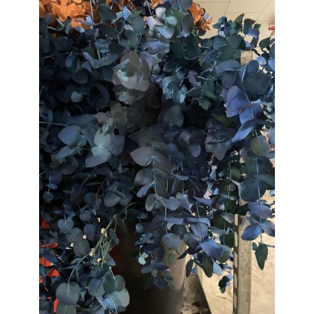 SANTOS-EUCALIPTO PINTADO AZUL