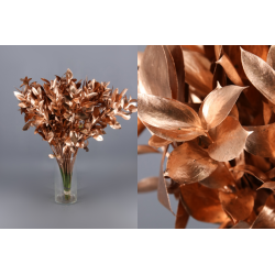 RUSCUS PINTADO COBRE 60 CM