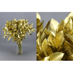 RUSCUS PINTADO ORO 60 CM