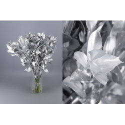 RUSCUS PINTADO PLATA 60 CM