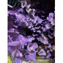 EUCALIPTO PINTADO LILA 60 CM