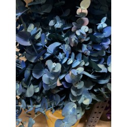 EUCALIPTO PINTADO AZUL 60 CM
