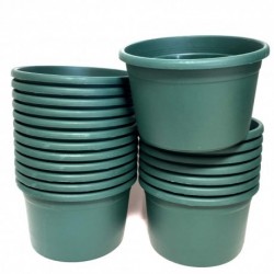 TARRINA CLASICA 17 VERDE