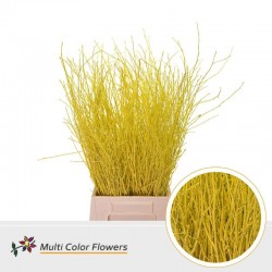 BERK AMARILLO 60 CM