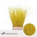 BERK AMARILLO 60 CM
