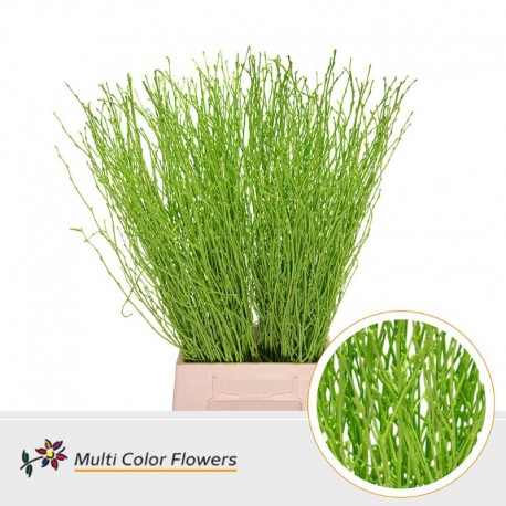 BERK VERDE 60 CM 