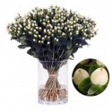 HYPERICUM BLANCO 40 CM X10