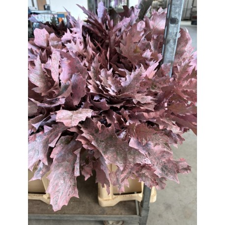 HOJA DE ROBLE TEÑIDA ROSA 80 CM X20