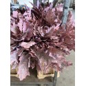 HOJA DE ROBLE TEÑIDA ROSA 80 CM X20