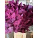 HOJA DE ROBLE TEÑIDA FUCSIA 80 CM X20