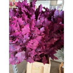 HOJA DE ROBLE TEÑIDA FUCSIA 80 CM X20
