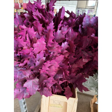 HOJA DE ROBLE TEÑIDA FUCSIA 80 CM X20
