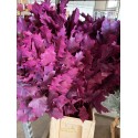 HOJA DE ROBLE TEÑIDA FUCSIA 80 CM X20