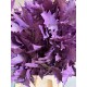 HOJA DE ROBLE TEÑIDA LILA 80 CM X20
