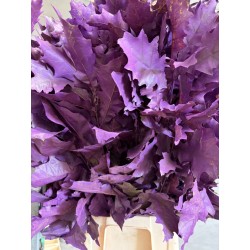 HOJA DE ROBLE TEÑIDA LILA 80 CM X20