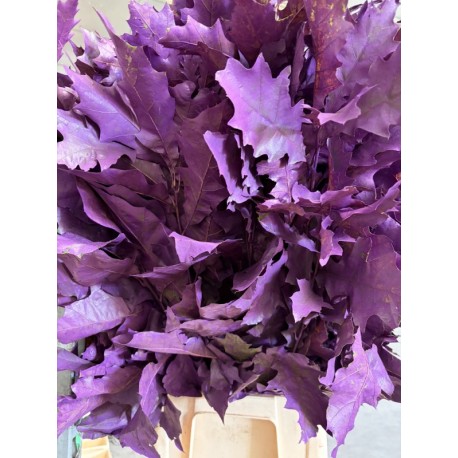 HOJA DE ROBLE TEÑIDA LILA 80 CM X20