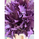 HOJA DE ROBLE TEÑIDA LILA 80 CM X20