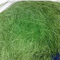 SISAL