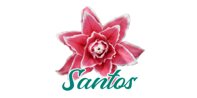 SANTOS